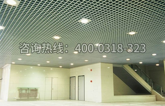 吊頂鋼格板 吊頂鋼格板